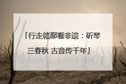 行走赣鄱看非遗：斫琴三春秋 古音传千年