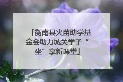 衡南县火苗助学基金会助力城关学子“坐”享新课堂