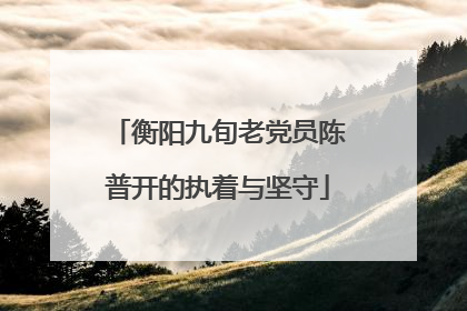衡阳九旬老党员陈普开的执着与坚守
