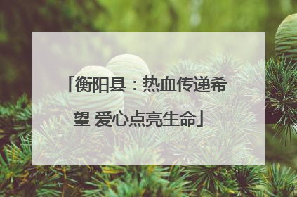 衡阳县：热血传递希望 爱心点亮生命