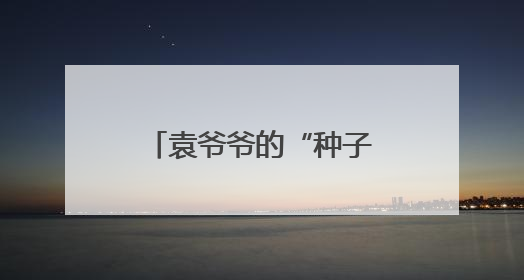 袁爷爷的“种子”在丽水发芽了！四年后，他的禾下乘凉梦这样延续