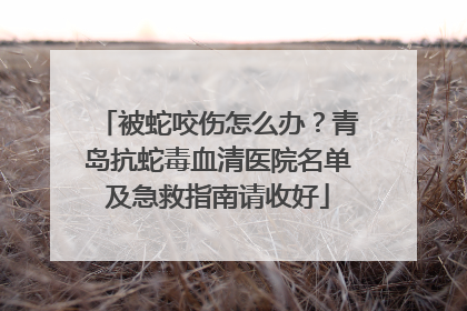 被蛇咬伤怎么办？青岛抗蛇毒血清医院名单及急救指南请收好