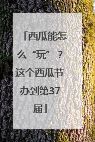 西瓜能怎么“玩”？这个西瓜节办到第37届