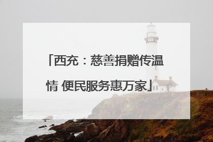 西充：慈善捐赠传温情 便民服务惠万家