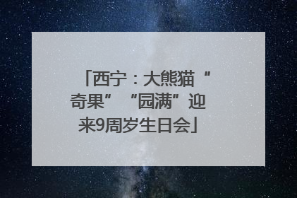 西宁：大熊猫“奇果”“园满”迎来9周岁生日会
