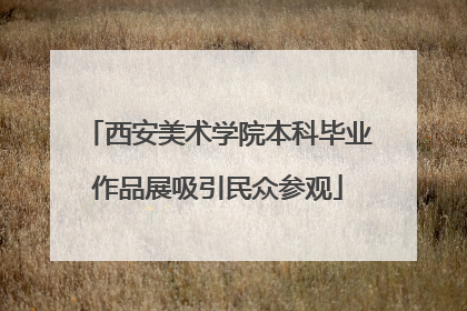 西安美术学院本科毕业作品展吸引民众参观