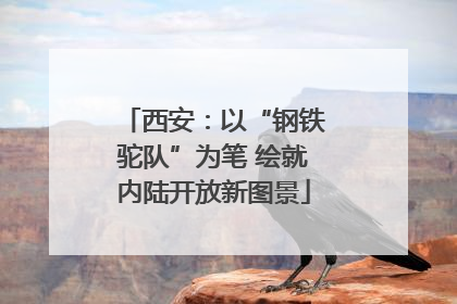 西安：以“钢铁驼队”为笔 绘就内陆开放新图景