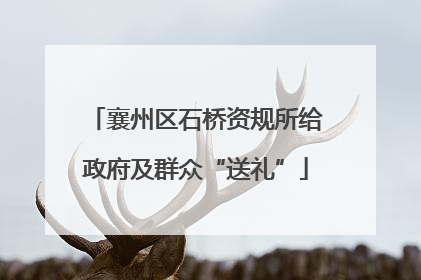襄州区石桥资规所给政府及群众“送礼”