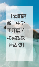 襄阳高新一中学子开展劳动实践教育活动