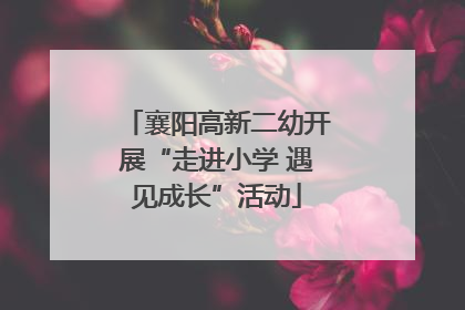 襄阳高新二幼开展“走进小学 遇见成长”活动