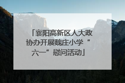 襄阳高新区人大政协办开展魏庄小学“六一”慰问活动