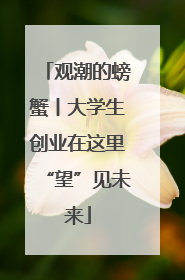 观潮的螃蟹丨大学生创业在这里“望”见未来