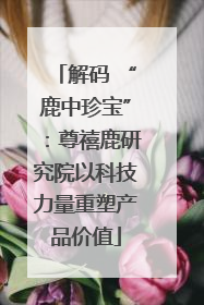 解码 “鹿中珍宝”：尊禧鹿研究院以科技力量重塑产品价值