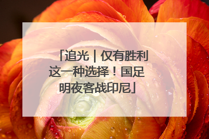 追光｜仅有胜利这一种选择！国足明夜客战印尼
