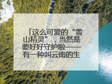 这么可爱的“雪山精灵”，当然是要好好守护啦——有一种叫云南的生活之365天