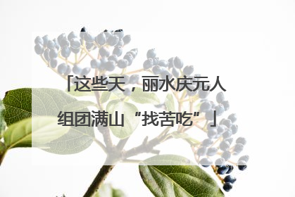 这些天，丽水庆元人组团满山“找苦吃”