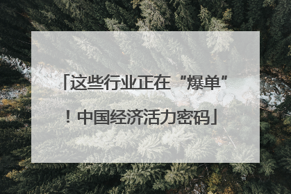 这些行业正在“爆单”！中国经济活力密码