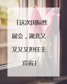 这次国际性展会，湖北又又又又担任主宾省