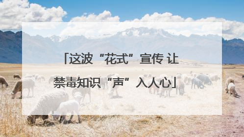 这波“花式”宣传 让禁毒知识“声”入人心