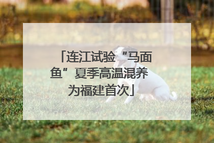 连江试验“马面鱼”夏季高温混养 为福建首次