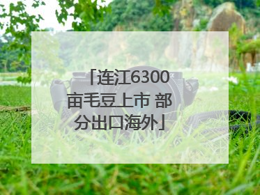 连江6300亩毛豆上市 部分出口海外