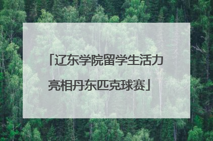辽东学院留学生活力亮相丹东匹克球赛