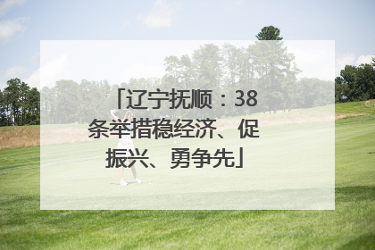 辽宁抚顺：38条举措稳经济、促振兴、勇争先