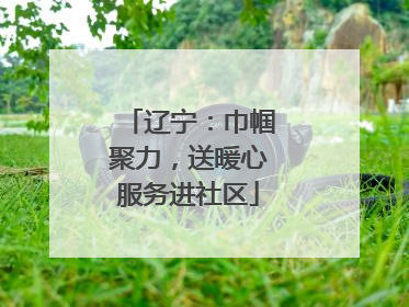 辽宁：巾帼聚力，送暖心服务进社区