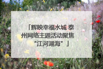 辉映幸福水城 泰州网络主题活动聚焦“江河湖海”