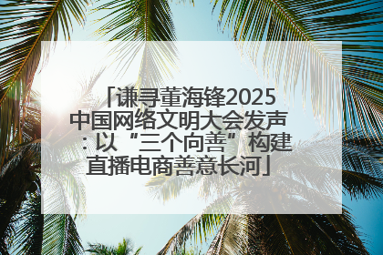 谦寻董海锋2025中国网络文明大会发声：以“三个向善”构建直播电商善意长河