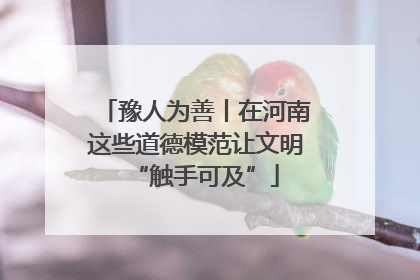 豫人为善丨在河南这些道德模范让文明“触手可及”