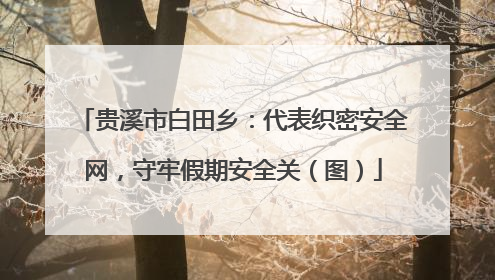 贵溪市白田乡：代表织密安全网，守牢假期安全关（图）