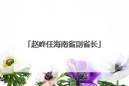 赵峰任海南省副省长