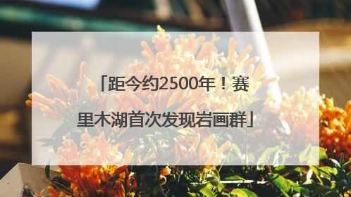 距今约2500年！赛里木湖首次发现岩画群