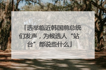 选举临近韩国前总统们发声，为候选人“站台”都说些什么