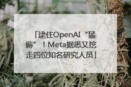逮住OpenAI“猛薅”！Meta据悉又挖走四位知名研究人员
