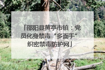 邵阳县黄亭市镇：党员化身禁毒“多面手” 织密禁毒防护网