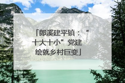 郎溪建平镇：“十大十小”党建 绘就乡村巨变