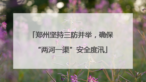 郑州坚持三防并举，确保“两河一渠”安全度汛