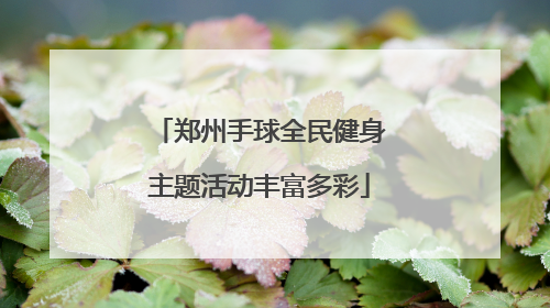 郑州手球全民健身主题活动丰富多彩