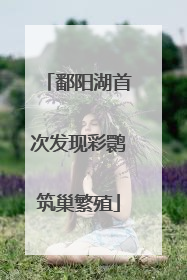 鄱阳湖首次发现彩鹮筑巢繁殖
