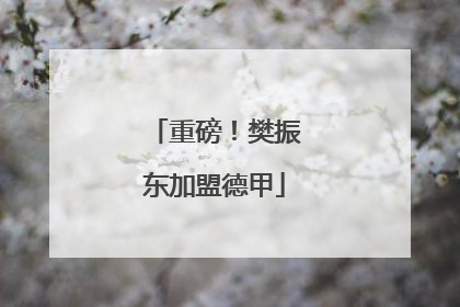 重磅！樊振东加盟德甲
