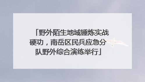 野外陌生地域锤炼实战硬功，南岳区民兵应急分队野外综合演练举行