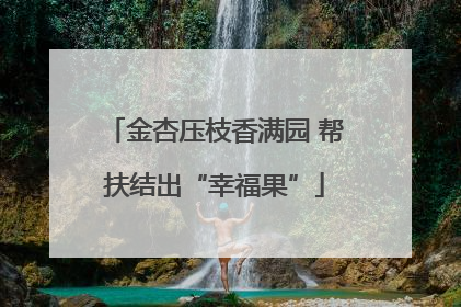 金杏压枝香满园 帮扶结出“幸福果”
