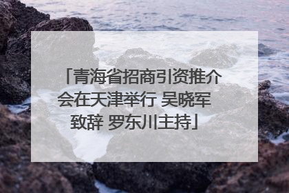 青海省招商引资推介会在天津举行 吴晓军致辞 罗东川主持