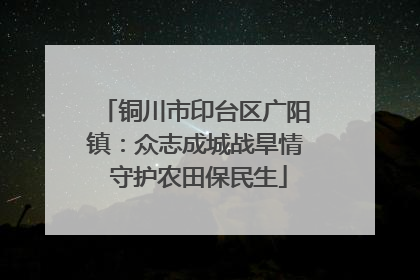 铜川市印台区广阳镇：众志成城战旱情 守护农田保民生