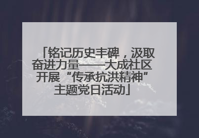 铭记历史丰碑，汲取奋进力量——大成社区开展“传承抗洪精神”主题党日活动