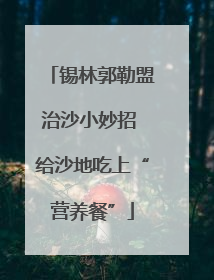 锡林郭勒盟治沙小妙招 给沙地吃上“营养餐”