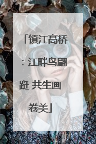 镇江高桥：江畔鸟翩跹 共生画卷美