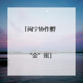 闽宁协作孵“金”蛋